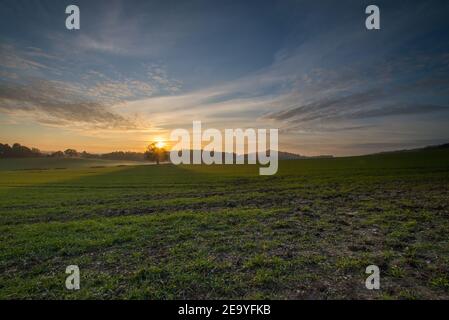 Sonnenuntergang über Newlands Corner, Guilford, Surrey Stockfoto