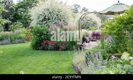 Magische japanische Weiden Zierbäume in einem Sommergarten umgeben von einer Rosen, Karl Foerster Feather Schilfgras, Minze, Federgras Stockfoto