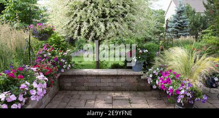 Magische japanische Weiden Zierbäume in einem Sommergarten umgeben von einer Rosen, Karl Foerster Feather Schilfgras, Minze, Federgras Stockfoto