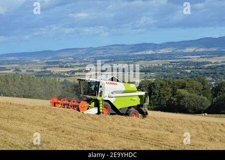 Claas kombinieren Ernte Spring Gerste, Maryfield, Blairgowrie, Perthshire, Schottland - UK Ackerbau. Stockfoto