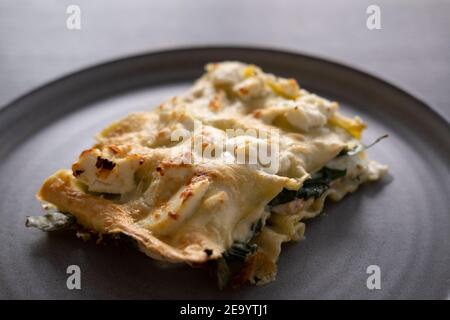 Lasagne mit Lachs, Ricotta und Spinat Stockfoto