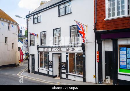 Der Lyme Fossil Shop im Zentrum von Lyme Regis, einer beliebten Küstenstadt und Ferienort an der Jurassic Coast in Dorset, Südwestengland Stockfoto