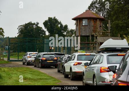 Eine Schlange von Autos wartet auf den Eingang zum eingezäunten Abschnitt des Blair Drummond Safari and Adventure Park. Stockfoto