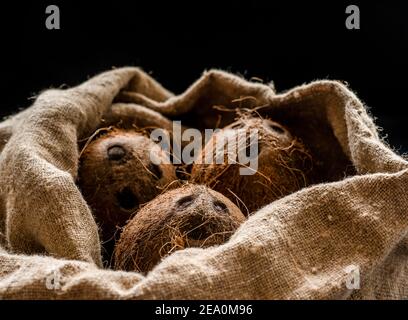 Kokosnuss Kokosnüsse öffnen und schließen köstlich in Sackleinen Stockfoto