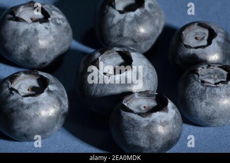Heidelbeergruppe auf blauem Hintergrund Stockfoto