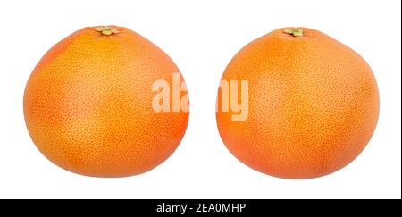 Grapefruit Pfad isoliert auf weißem Stockfoto