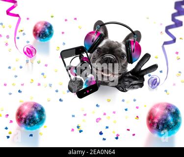 französische Bulldogge spielt Musik in einem Club mit Disco-Ball, isoliert auf weißem Hintergrund, mit Vinyl-Platte Stockfoto