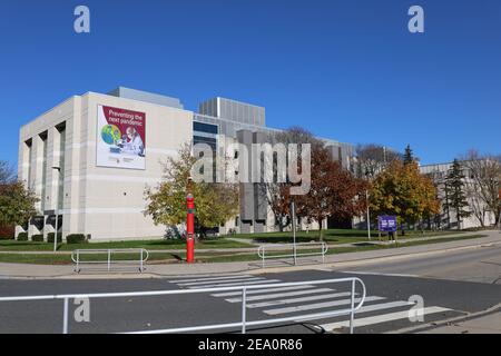 McMaster University Campus, Hamilton, Ontario, Kanada Stockfoto