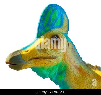 Kopf eines Corythosaurus Dinosauriers Stockfoto