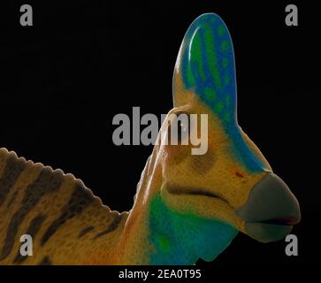 Kopf eines Corythosaurus Dinosauriers Stockfoto