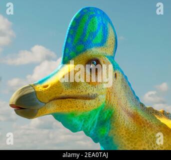 Kopf eines Corythosaurus Dinosauriers Stockfoto
