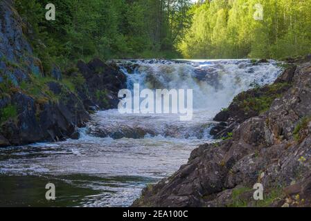 Am Kivach Wasserfall an einem sonnigen Juniabend. Karelien, Russland Stockfoto