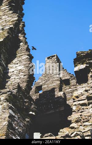 Die eingleisige Krähe schwimmt auf dem Wind die Wand eines Rustikales Schloss Stockfoto