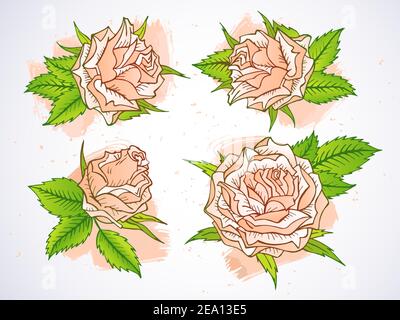 Vektor-Set von handgezeichneten Rosen und Blättern mit texturierten Aquarell-Elementen. In rosa Farben. Verwendeter Gradient. Stock Vektor