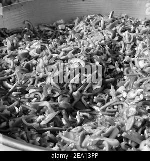 Lebensmittelverteilung während der Bauern Protestgrenze, wo indische Sikh und Hindu-Bauern aus Punjab, Uttar Pradesh und Uttarakhand Staaten Proteste Delh Stockfoto