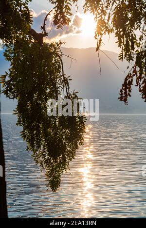 Herbstuntergang am Seeufer von Pallanza - Verbania, Lago Maggiore, Piemont, Italien Stockfoto