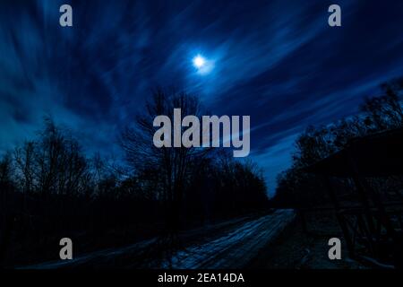 Ein Vollmond im Winter, der hell auf einem Sand leuchtet Weg in den Wald Stockfoto