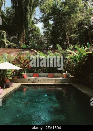 Ein ausgefallener Hinterhof einer modernen privaten Villa mit Schwimmen Der Pool ist von üppigen tropischen Pflanzen umgeben Stockfoto