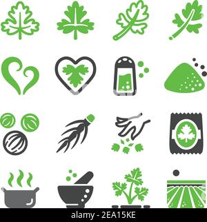 Koriander Icon Set, Vektor und Illustration Stock Vektor