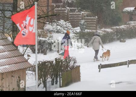 Haltern, NRW, Deutschland. Februar 2021, 07th. Zwei Wanderer haben sich warm eingewickelt, um ihren Hund mit auf einen Spaziergang im Schnee zu nehmen. In Nordrhein-Westfalen und anderen Teilen Deutschlands gibt es nach Stürmen eine Unwetterwarnung, bis zu 30cm Schnee fielen über Nacht und am Sonntagmorgen. Das Unwetter wird sich fortsetzen. Kredit: Imageplotter/Alamy Live Nachrichten Stockfoto