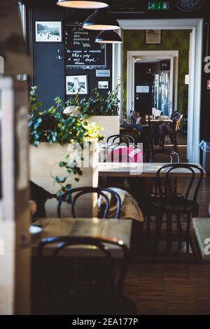 BUDAPEST - Januar 2019, Innere des Cafés Toterasz im Stadtpark, einem öffentlichen Park in Budapest, Ungarn, in der Nähe des Stadtzentrums Stockfoto