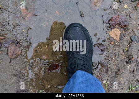 Wasserspritzer aus den Schuhen. Herrenfüße in Wanderschuhen treten in eine Pfütze. Regenschuhe für Mann oder Frau. Trekker Stiefel für kalte und wetterwehende Wanderungen. Stockfoto