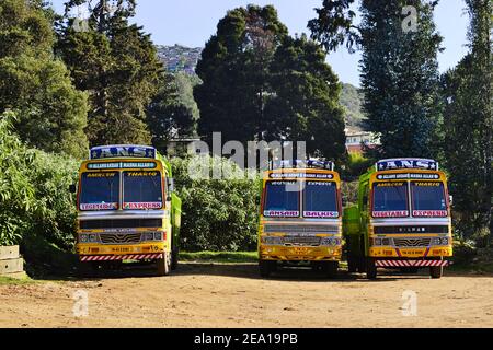 Ooty, Tamil Nadu, Indien - Januar, 2017: Drei bunte Lastwagen auf Parkplatz verwendet für die Lieferung von schweren Fracht und Gemüse. Stockfoto