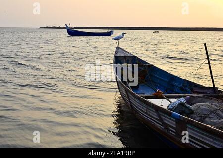 Fischerboote auf dem Wasser in der Bucht bei Mahe, Kerala, Indien Stockfoto