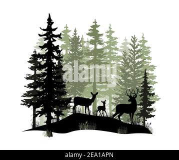 Hirsch mit Geweih, Rehe, Rehkitz posiert in magisch nebligen Wald. Silhouetten-Illustration. Nadelbäume. Stockfoto