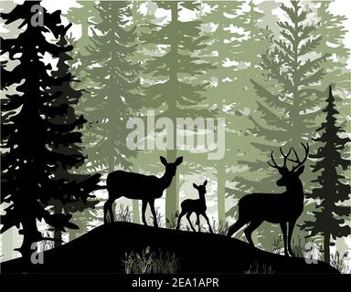 Hirsch mit Geweih, Rehe, Rehkitz posiert in magisch nebligen Wald. Silhouetten-Illustration. Nadelbäume. Stockfoto