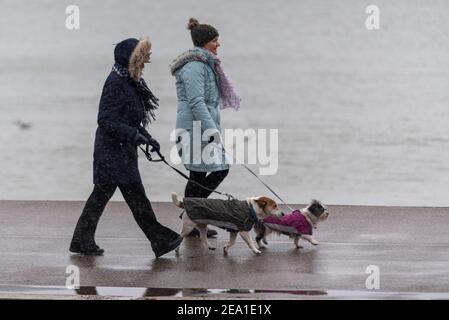 Southend on Sea, Essex, Großbritannien. Februar 2021, 7th. Storm Darcy erreichte Southend on Sea später als ursprünglich prognostiziert, wobei das Gebiet über Nacht nass blieb. Schnee und Schneestürmchen kamen um 7am an, was Hundewanderer nicht abhielt. Zwei Frauen, die mit ihren Hunden an der Themse entlang gehen. COVID 19-Sperrwarnungen bleiben erhalten Stockfoto