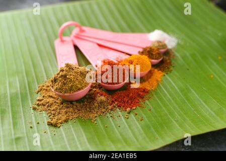 Indische Gewürze Pulver in Löffel, Bananenblatt Hintergrund. Bio-indischen würzigen Curry Masala für die Herstellung von Curry in Indien. Currypulver Mischung. Biryani Masala. Stockfoto