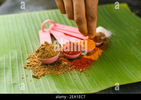 Indische Gewürze Pulver in Löffel, Bananenblatt Hintergrund. Bio-indischen würzigen Curry Masala für die Herstellung von Curry in Indien. Currypulver Mischung. Biryani Masala. Stockfoto