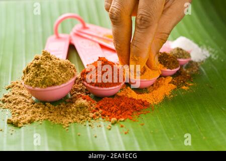 Indische Gewürze Pulver in Löffel, Bananenblatt Hintergrund. Bio-indischen würzigen Curry Masala für die Herstellung von Curry in Indien. Currypulver Mischung. Biryani Masala. Stockfoto