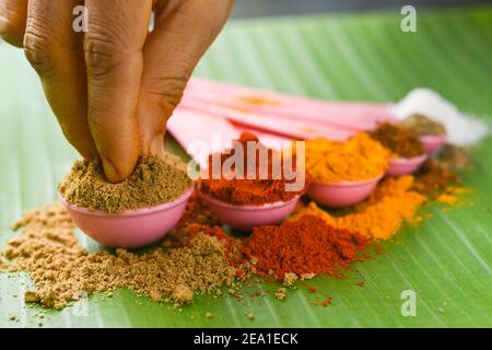 Indische Gewürze Pulver in Löffel, Bananenblatt Hintergrund. Bio-indischen würzigen Curry Masala für die Herstellung von Curry in Indien. Currypulver Mischung. Biryani Masala. Stockfoto