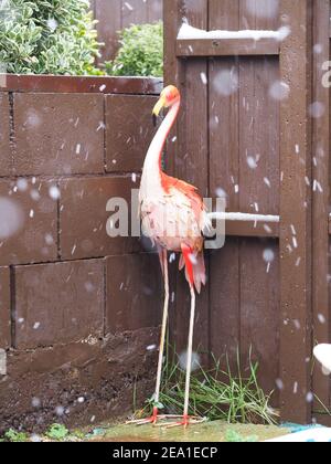 Sheerness, Kent, Großbritannien. 7th. Februar 2021. UK Wetter: Schneeregen und starke Winde in Sheerness, Kent heute Morgen als Storm Darcy beginnt zu schlagen. Ein Gartenschmuck, wenn der Schnee/Schnee zu fallen beginnt. Kredit: James Bell/Alamy Live Nachrichten Stockfoto