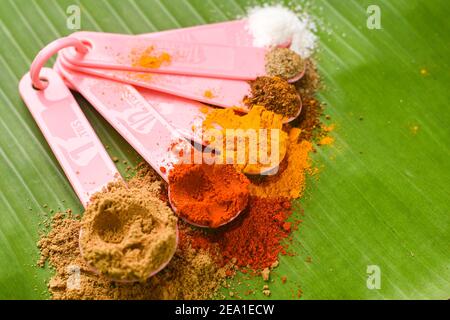Indische Gewürze Pulver in Löffel, Bananenblatt Hintergrund. Bio-indischen würzigen Curry Masala für die Herstellung von Curry in Indien. Currypulver Mischung. Biryani Masala. Stockfoto