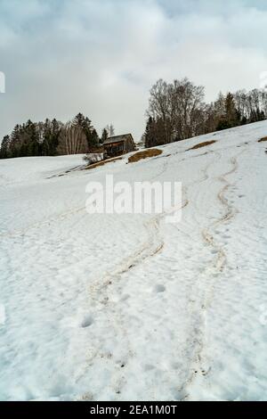 Schneefeld mit Bäumen und Scheune auf dem Hochmoor. Schneebedeckter Hang und Sahara-Sand in der Luft. offene Schneefelder bei Föhn und Saharasand in Wolken Stockfoto