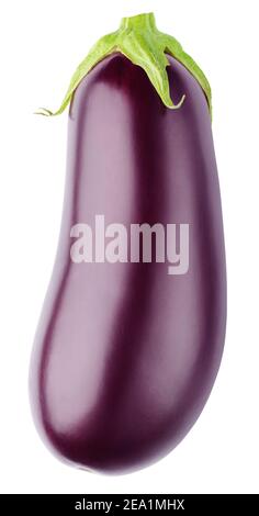 Frisches Aubergine Gemüse mit Stamm isoliert auf weißem Hintergrund. Aubergine mit Clipping Pfad Stockfoto