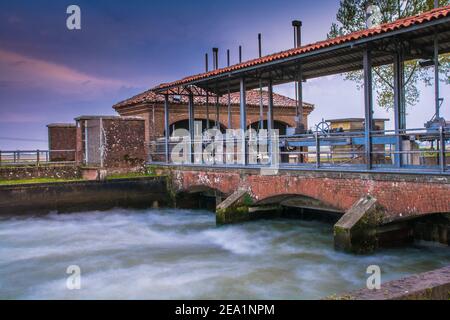 Zwischen den Provinzen Vercelli und Novara werden über 90% der gesamten italienischen Reisproduktion angebaut. Carnaroli Qualität ist die am meisten von den besten verwendet Stockfoto