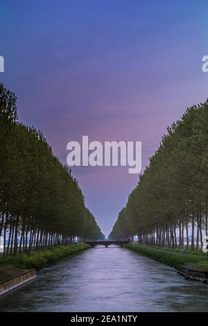 Zwischen den Provinzen Vercelli und Novara werden über 90% der gesamten italienischen Reisproduktion angebaut. Carnaroli Qualität ist die am meisten von den besten verwendet Stockfoto