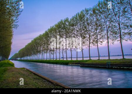 Zwischen den Provinzen Vercelli und Novara werden über 90% der gesamten italienischen Reisproduktion angebaut. Carnaroli Qualität ist die am meisten von den besten verwendet Stockfoto