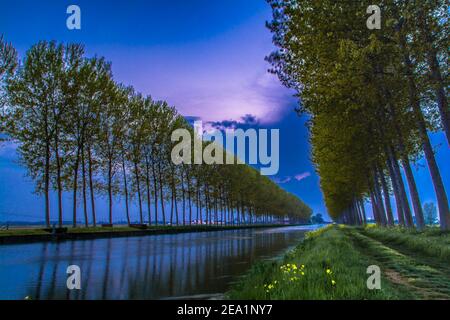 Zwischen den Provinzen Vercelli und Novara werden über 90% der gesamten italienischen Reisproduktion angebaut. Carnaroli Qualität ist die am meisten von den besten verwendet Stockfoto