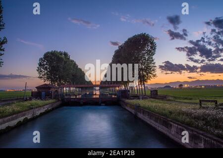 Zwischen den Provinzen Vercelli und Novara werden über 90% der gesamten italienischen Reisproduktion angebaut. Carnaroli Qualität ist die am meisten von den besten verwendet Stockfoto