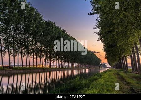 Zwischen den Provinzen Vercelli und Novara werden über 90% der gesamten italienischen Reisproduktion angebaut. Carnaroli Qualität ist die am meisten von den besten verwendet Stockfoto