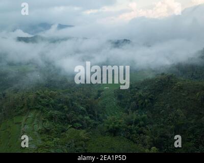 Luftaufnahme der Drohne auf dichten tropischen Regenwald und nebelige Berge in Bali, Indonesien. Üppig grüne Dschungellandschaft, umgeben von niedrigen Wolken und Nebel. Stockfoto