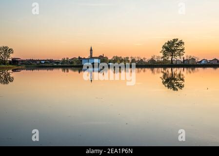 Zwischen den Provinzen Vercelli und Novara werden über 90% der gesamten italienischen Reisproduktion angebaut. Carnaroli Qualität ist die am meisten von den besten verwendet Stockfoto