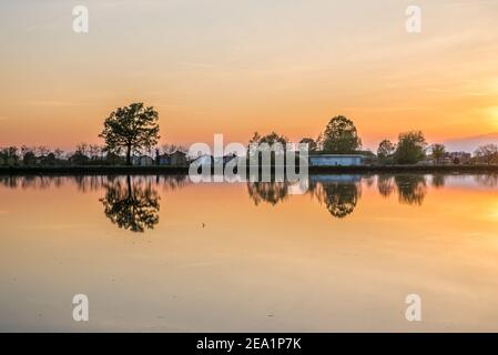 Zwischen den Provinzen Vercelli und Novara werden über 90% der gesamten italienischen Reisproduktion angebaut. Carnaroli Qualität ist die am meisten von den besten verwendet Stockfoto