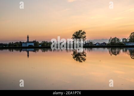 Zwischen den Provinzen Vercelli und Novara werden über 90% der gesamten italienischen Reisproduktion angebaut. Carnaroli Qualität ist die am meisten von den besten verwendet Stockfoto