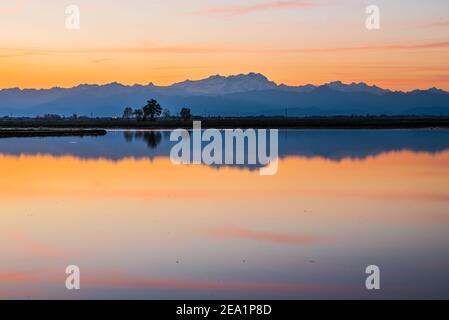 Zwischen den Provinzen Vercelli und Novara werden über 90% der gesamten italienischen Reisproduktion angebaut. Carnaroli Qualität ist die am meisten von den besten verwendet Stockfoto